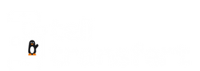 Logo Teli Transfert